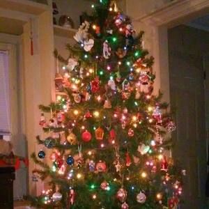 Meet your Posher, Therese